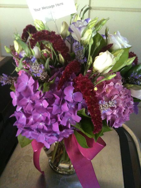 Purple hydrangeo flowers in vase